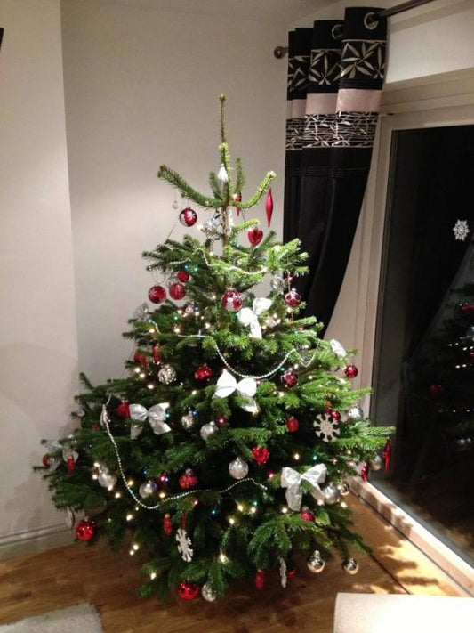 5 foot Christmas Tree